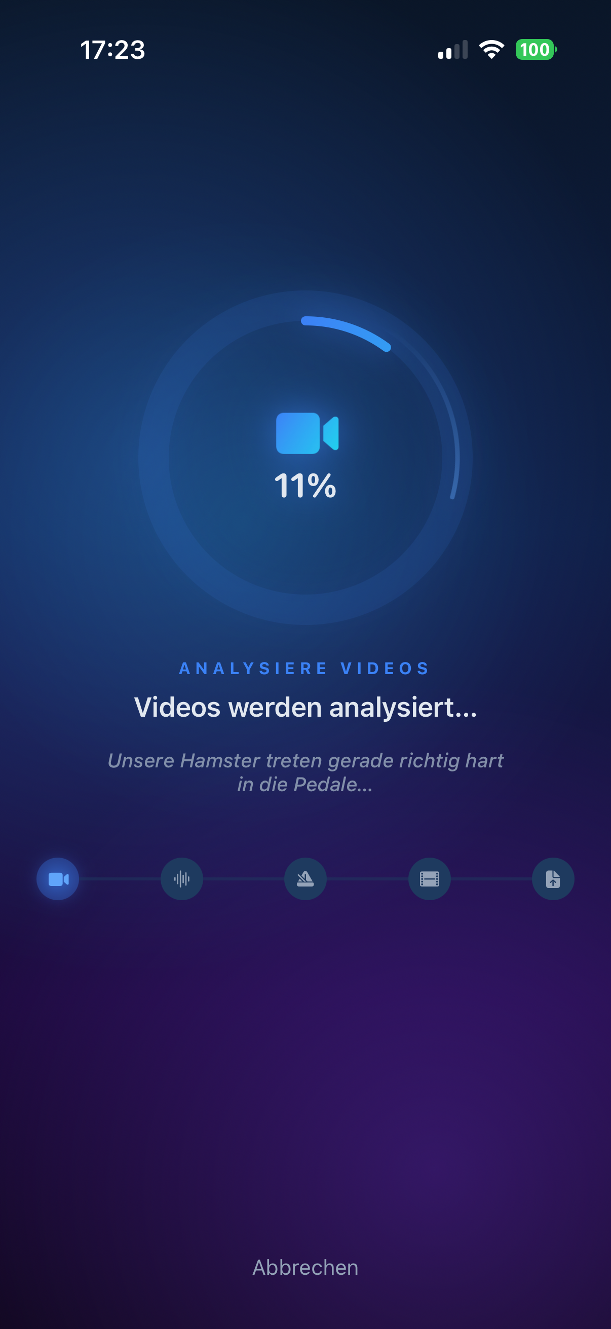 Video-Analyse